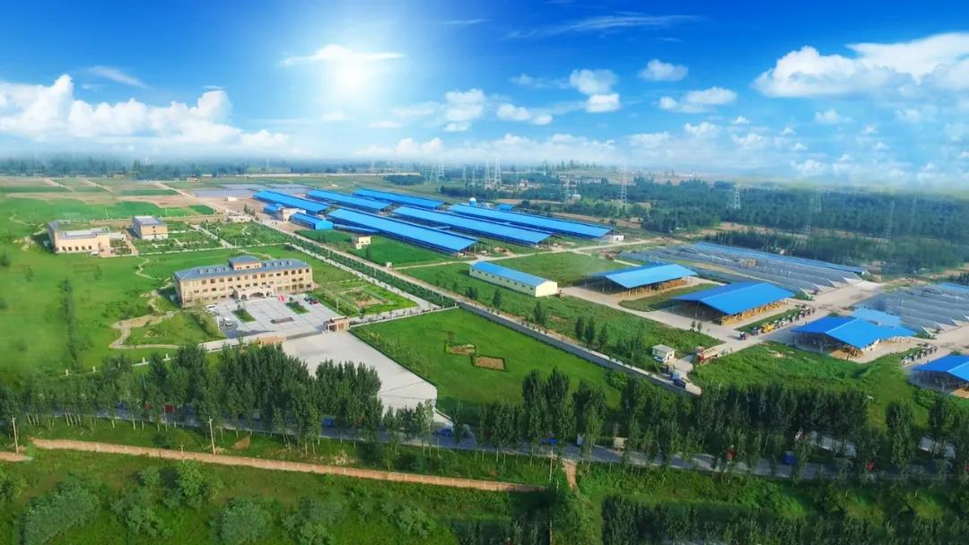 花花牛丨河南農(nóng)業(yè)大學(xué)黨委副書記、校長(zhǎng)介曉磊一行蒞臨花花牛河南瑞亞參觀調(diào)研