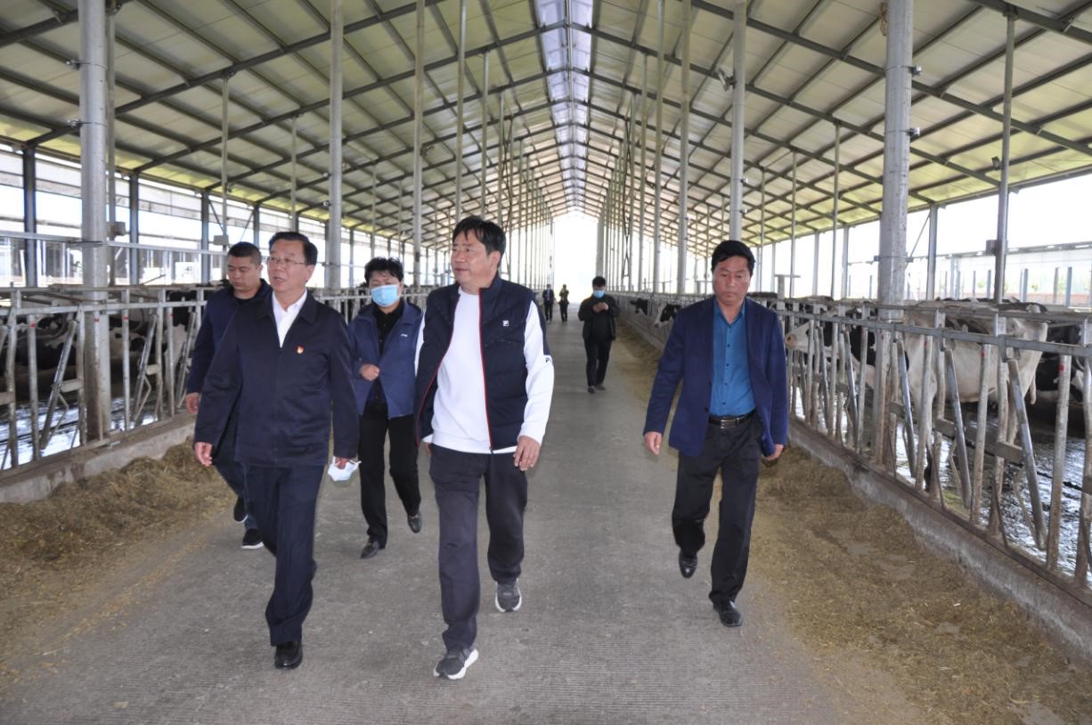 商丘市委常委、宣傳部部長(zhǎng)王全周一行蒞臨睢縣瑞亞牧業(yè)有限公司調(diào)研