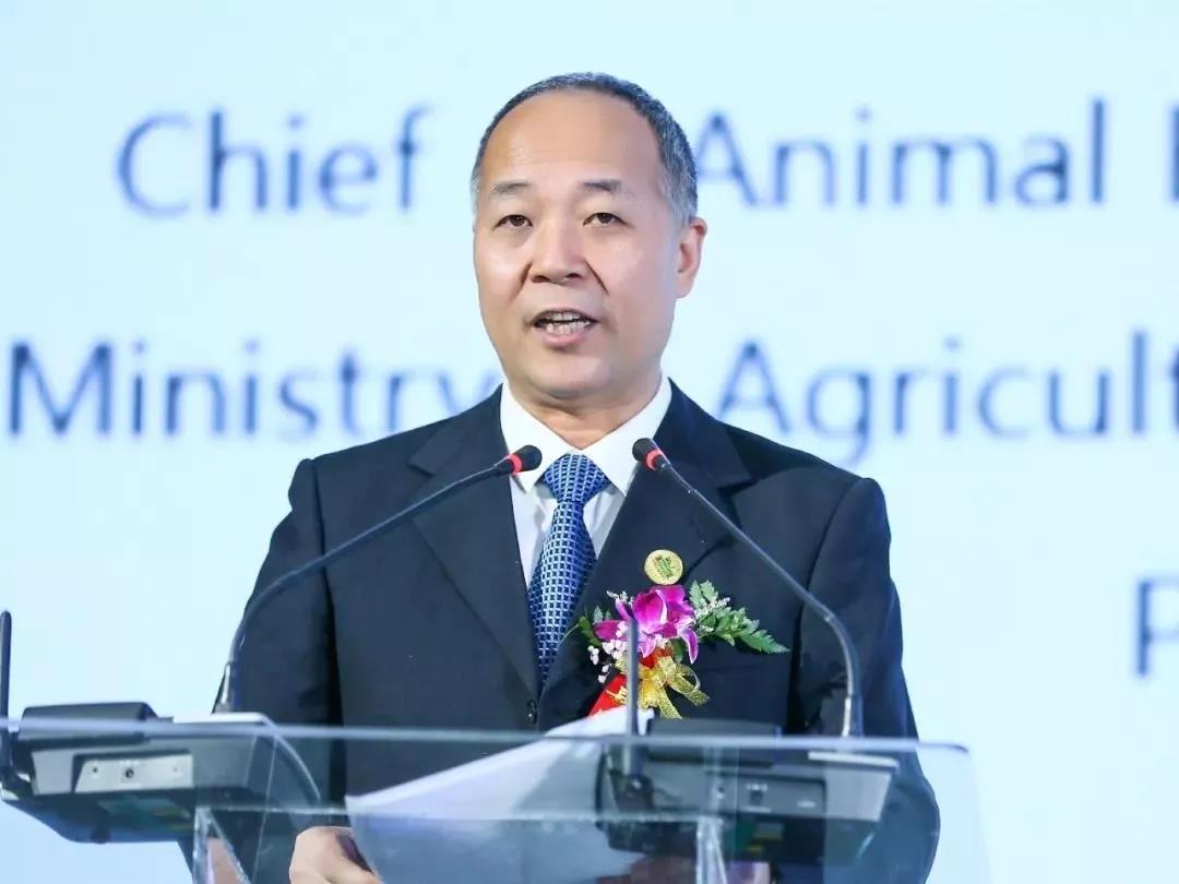 SDDDC走進河南，看看花花牛的國際范兒！