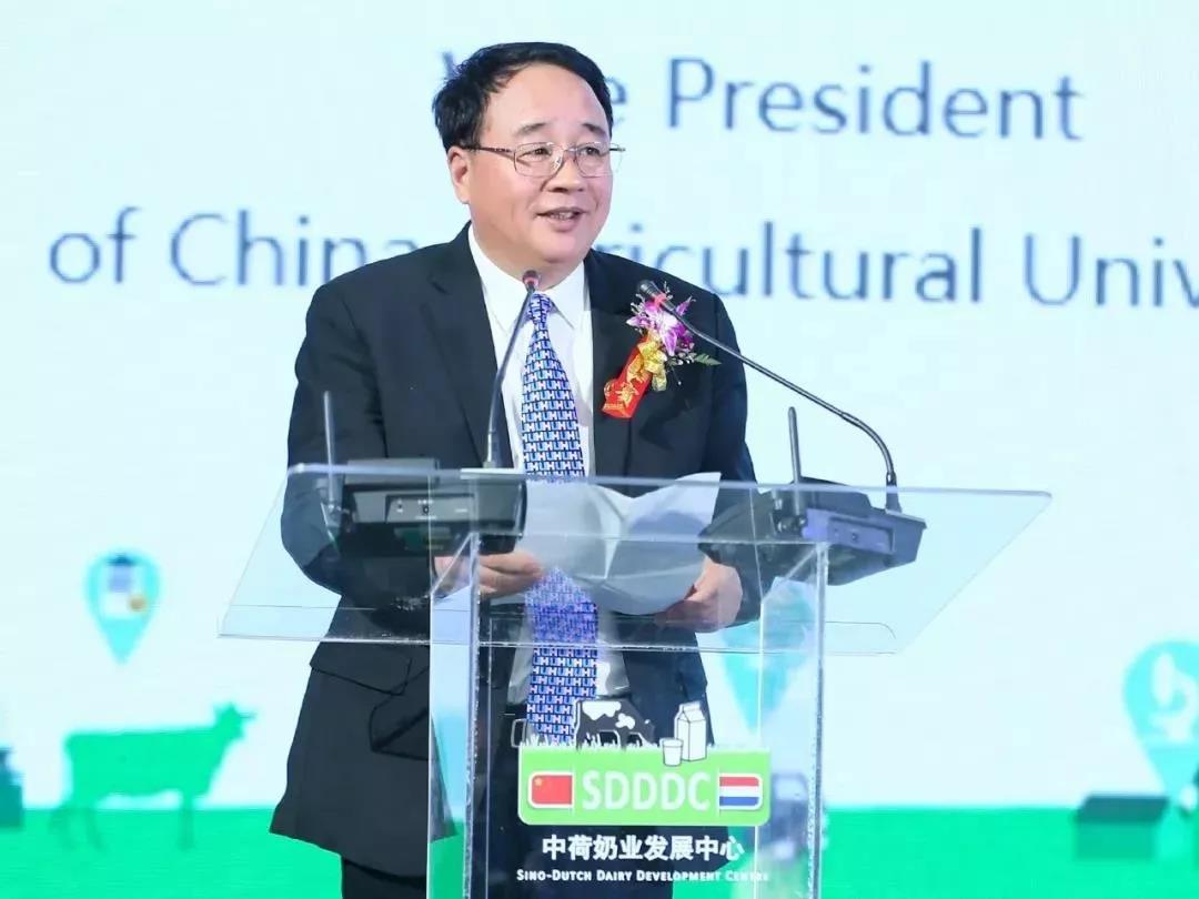 SDDDC走進河南，看看花花牛的國際范兒！