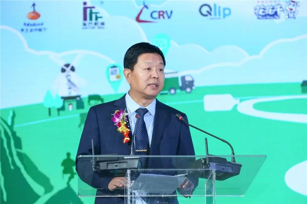 SDDDC走進河南，看看花花牛的國際范兒！