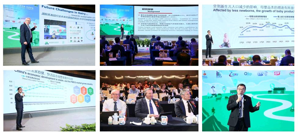 SDDDC走進河南，看看花花牛的國際范兒！