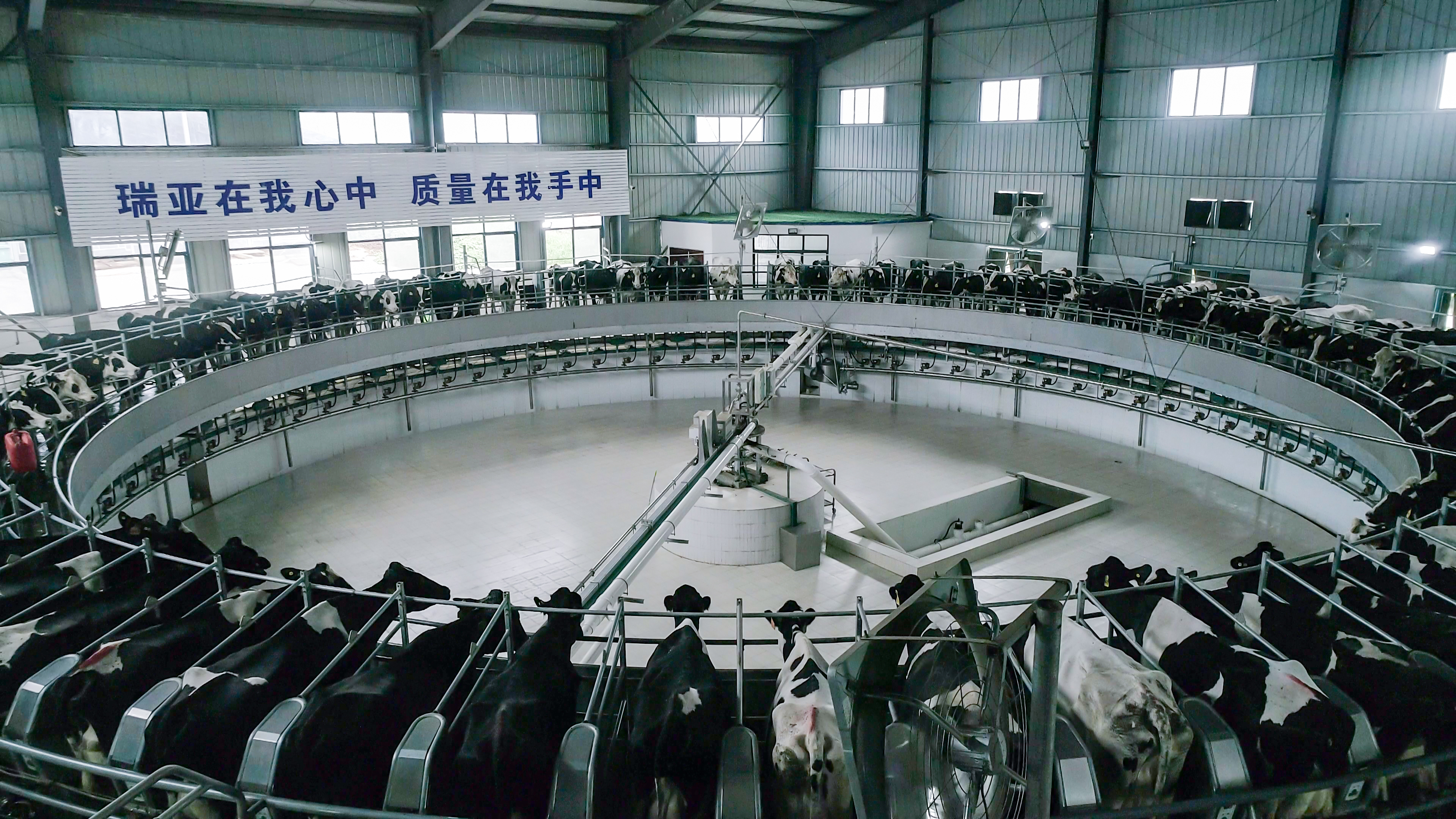 河南省委常委、組織部部長孔昌生 蒞臨河南花花牛集團(tuán)魯山瑞亞牧業(yè)有限公司調(diào)研