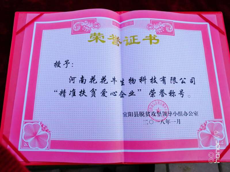 關(guān)愛成長 相伴未來——精準(zhǔn)扶貧“暖冬公益行”走進(jìn)宜陽縣白楊鎮(zhèn)