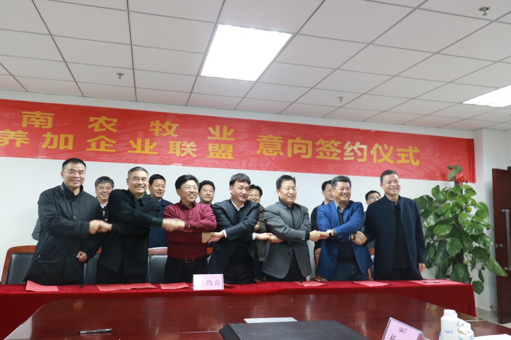 涉農(nóng)企業(yè)強強聯(lián)合，“抱團取暖”共迎企業(yè)發(fā)展的春天