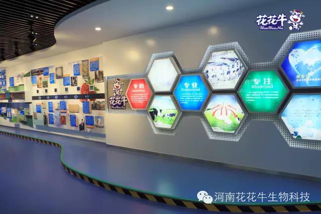 花花牛：務(wù)實(shí)、創(chuàng)新領(lǐng)潮市場(chǎng) 大企業(yè)體現(xiàn)大擔(dān)當(dāng)