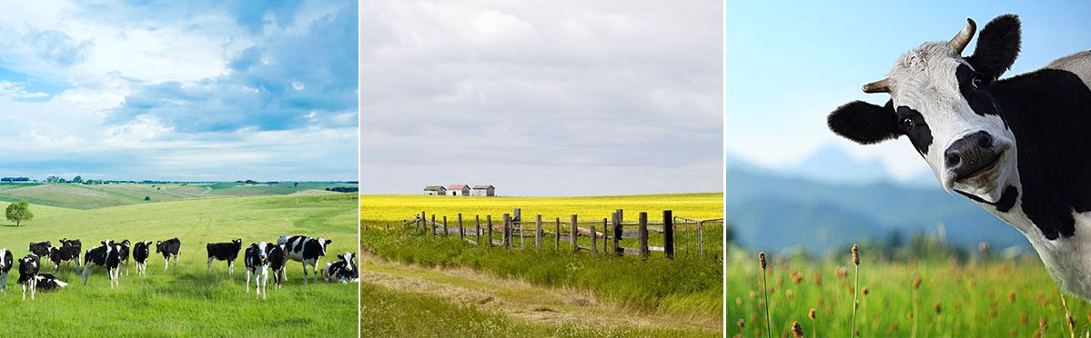 1735267253839760.png image.png