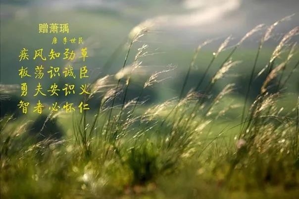 花花牛 | 疾風(fēng)來臨，你是不是勁草？