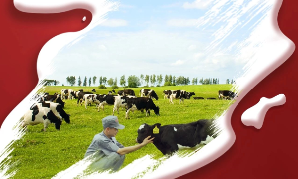 喜報！花花牛董事長關(guān)曉彥再獲”優(yōu) 秀企業(yè)家”稱號